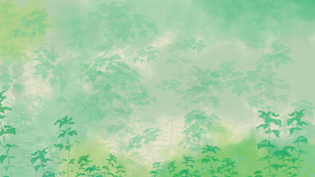 Green forest background